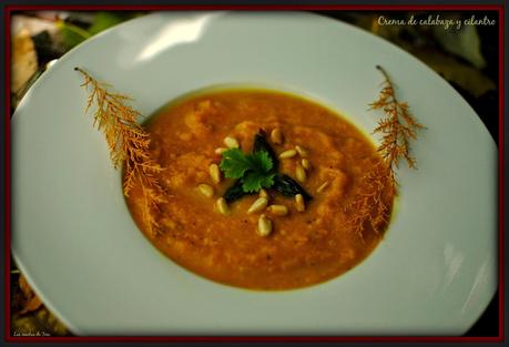 crema de calabaza y cilantro las recetas de tere 06