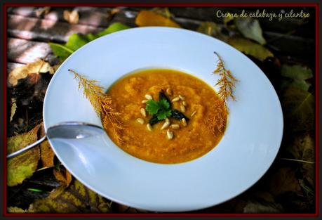 crema de calabaza y cilantro las recetas de tere 02
