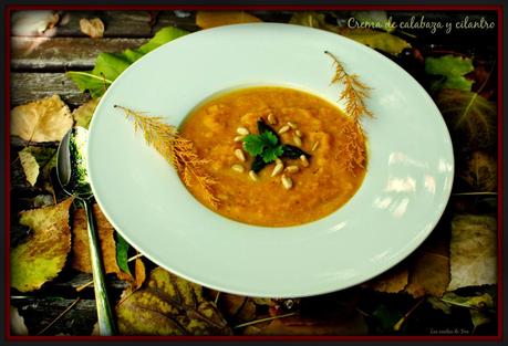 crema de calabaza y cilantro las recetas de tere 05