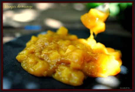 manjar de mango 01