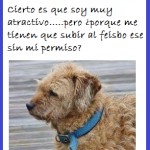 cuidado con las fotos que subimos a Internet 150x150 Trucos para que la batería de tu smartphone dure más