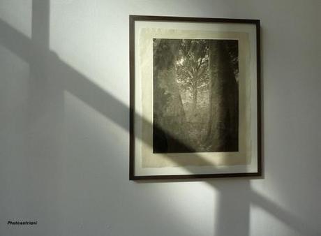 Il silencio en los Viernes del CFC PORTADA-Takeshi Shikama-CFC-Silence