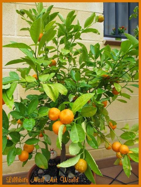 RETO COLORES II (Naranja): Naranja con rizos
