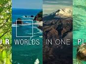 Arranca segunda fase campaña “All Need Ecuador”