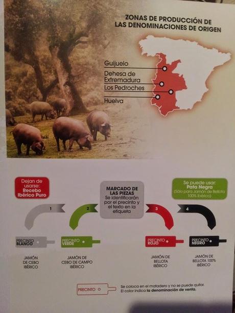 Consejos sobre etiquetado de los productos del cerdo ibérico