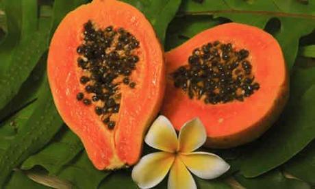 papaya
