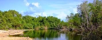 Algunas joyas ecoturísticas de República Dominicana