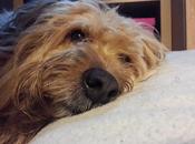 Androidografia Barakaldo CDLXIV. Mirada Luna