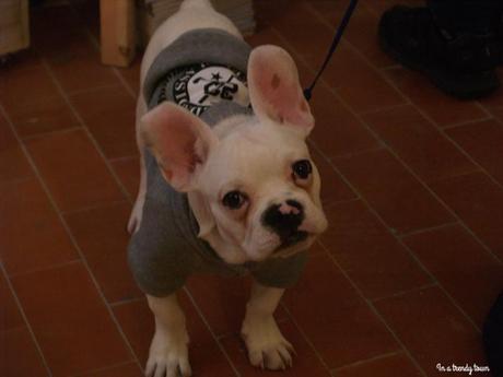 solovelypopup inatrendytown castellon solovelypopup inatrendytown