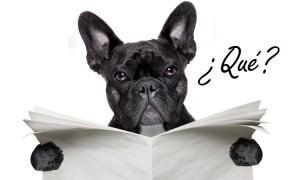 Cómo conseguir enlaces desde periódicos