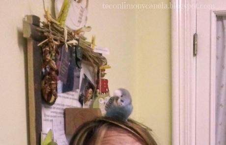 HOY COMPARTIMOS: MASCOTAS