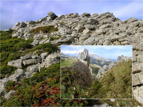 Pena Vera-Pena Cabello-Pena la Nidia-Pena Parda