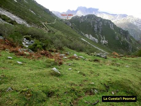 Pena Vera-Pena Cabello-Pena la Nidia-Pena Parda