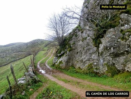 Pena Vera-Pena Cabello-Pena la Nidia-Pena Parda