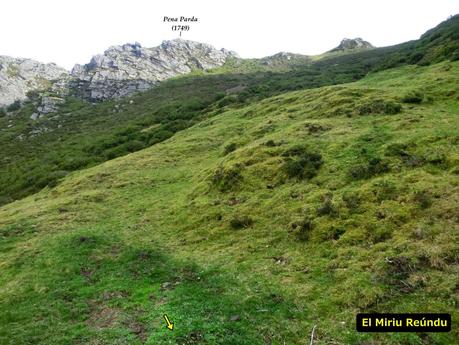 Pena Vera-Pena Cabello-Pena la Nidia-Pena Parda