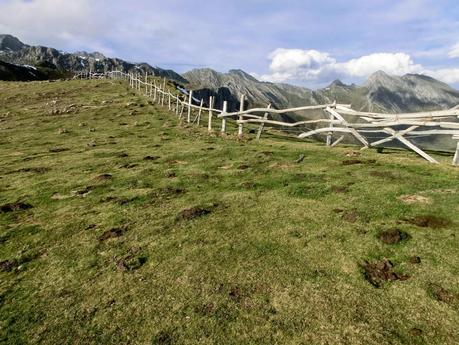 Pena Vera-Pena Cabello-Pena la Nidia-Pena Parda