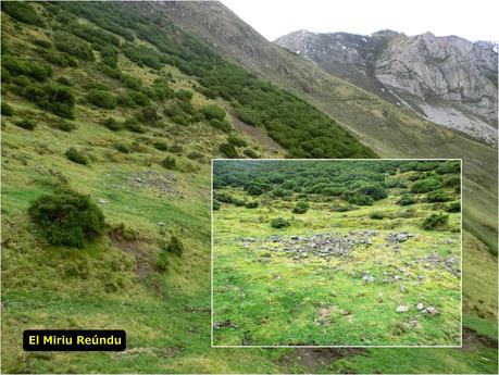 Pena Vera-Pena Cabello-Pena la Nidia-Pena Parda