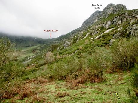 Pena Vera-Pena Cabello-Pena la Nidia-Pena Parda