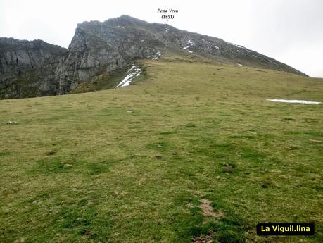 Pena Vera-Pena Cabello-Pena la Nidia-Pena Parda