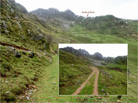 Pena Vera-Pena Cabello-Pena la Nidia-Pena Parda