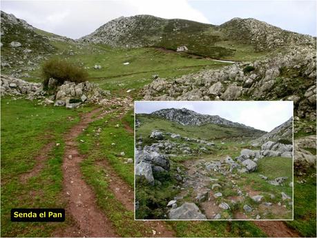 Pena Vera-Pena Cabello-Pena la Nidia-Pena Parda