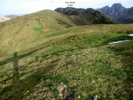 Pena Vera-Pena Cabello-Pena la Nidia-Pena Parda