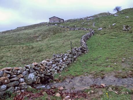 Pena Vera-Pena Cabello-Pena la Nidia-Pena Parda