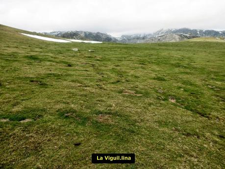 Pena Vera-Pena Cabello-Pena la Nidia-Pena Parda