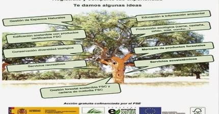 Grupo emprendeverde “Certificación FSC, servicios ecosistémicos, emprendimiento y empleo verde”