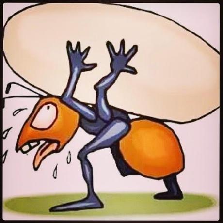 A LA CARGA MIS VALIENTES HORMIGAS #diariodemadreloca