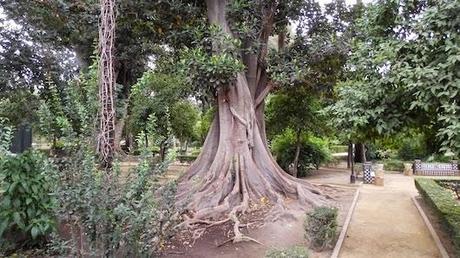 Paseando por un barrio de Sevilla