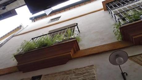 Paseando por un barrio de Sevilla