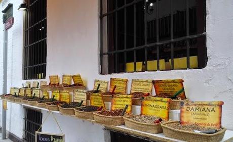 Paseando por un barrio de Sevilla