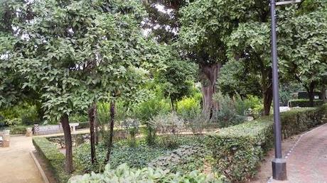 Paseando por un barrio de Sevilla