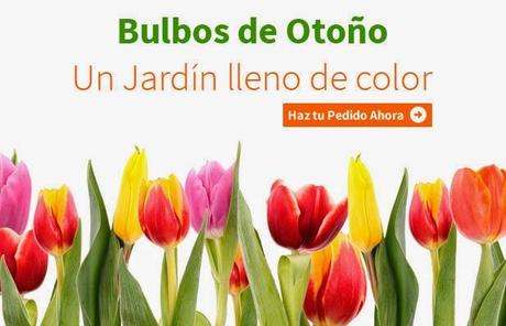 bulbos de otoño