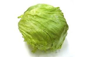 La lechuga