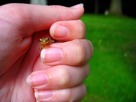 Qué dicen tus uñas de tu salud Qué dicen tus uñas de tu salud