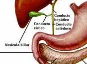 Limpiar Higado Forma Natural Formas