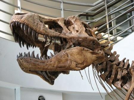 ¿Pudieron los dinosaurios existir hace 10.000 años?