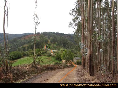 Ruta Deva, Gavio Cimero, Fario, Peña Cuatro Jueces: Eucaliptos