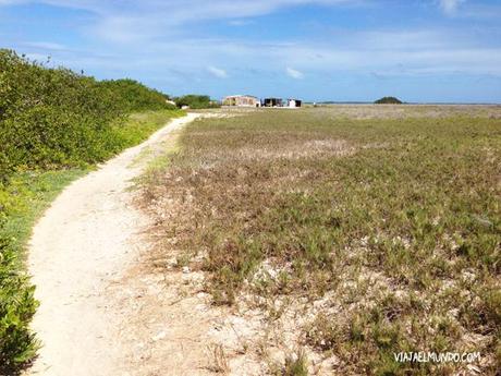 Caminando hacia las casitas de cayo Pirata