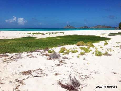 Así se empieza a ver Madrisquí cuando se hace el camino de vuelta