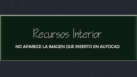 Porque no aparece la imagen que inserto en Autocad