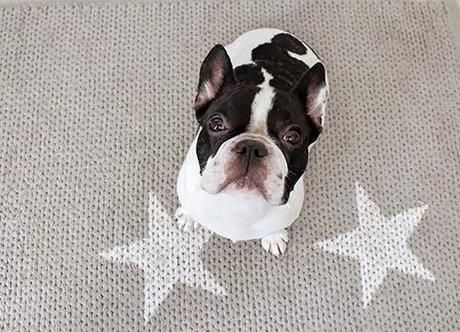 diy-alfombras-con-estrellas-decoracion-alfombras