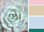 nuevo cochecito bebecar