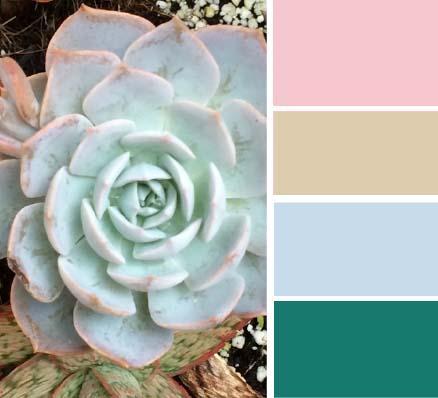 El nuevo cochecito de bebecar paleta colores calidad media