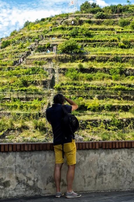 Vino Perciò 2013