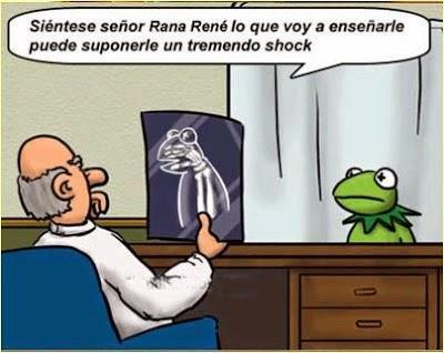 carne, carne guisada, ternera guisada, recetas de carne, ternera, carne con patatas, carne con verduras, recetas de cocina, recetas caseras, carne, carne guisada, ternera guisada, recetas de carne, ternera, carne con patatas, carne con verduras, recetas de cocina, recetas caseras,