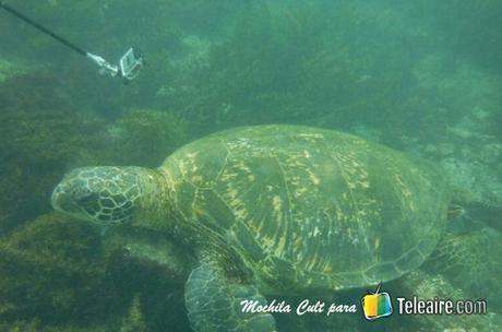 5 razones para conocer Galápagos Galápagos 6