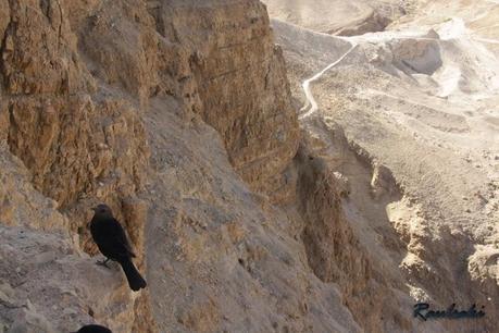 Masada la Fortaleza. El último bastión judío
